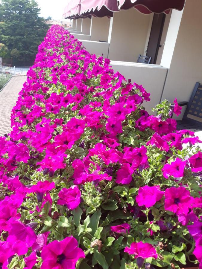 Hotel Da Roberto Lazise Exterior foto